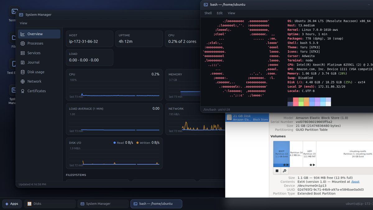 Finestra: gestor del sistema, terminal y GNOME Disks en una pestaña del navegador